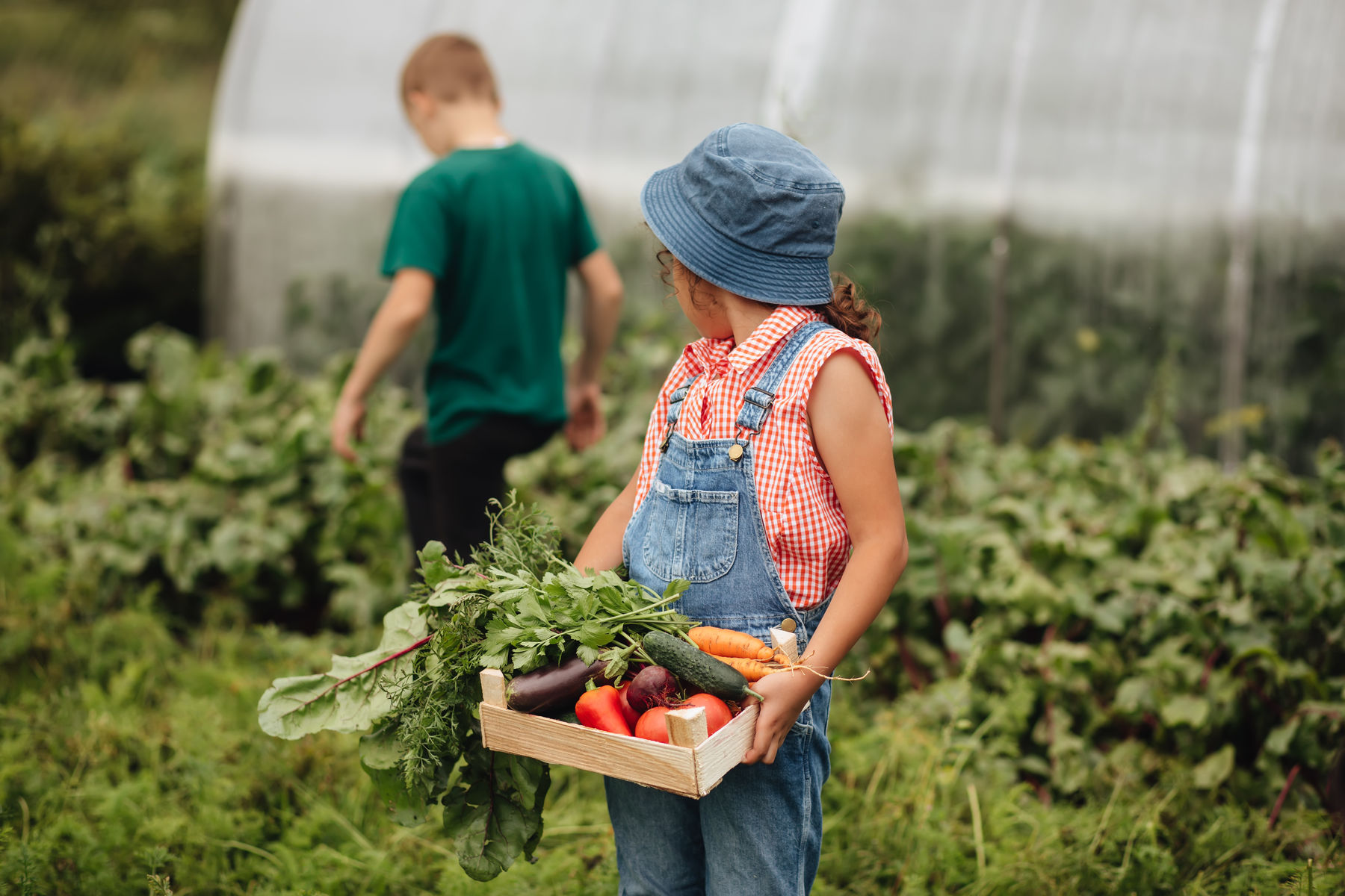 Kind mit Gemüsekiste .jpg © AdobeStock Kind mit Gemüsekiste .jpg © AdobeStock