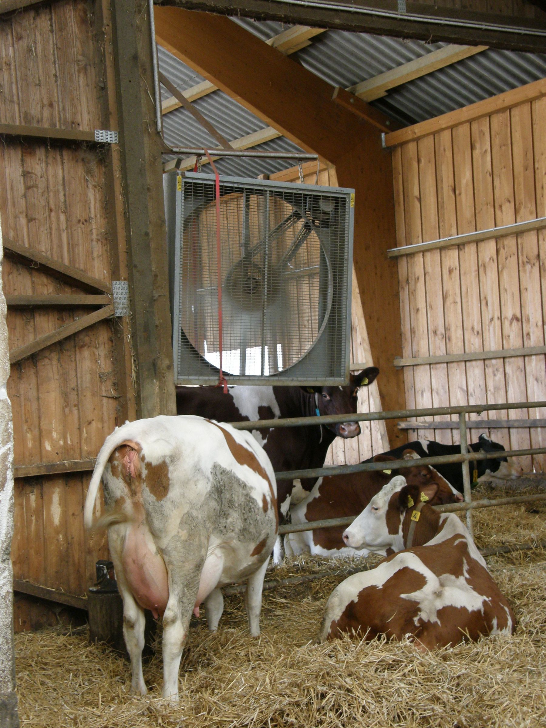 Ventilator.jpg © LK Kärnten/Stromberger