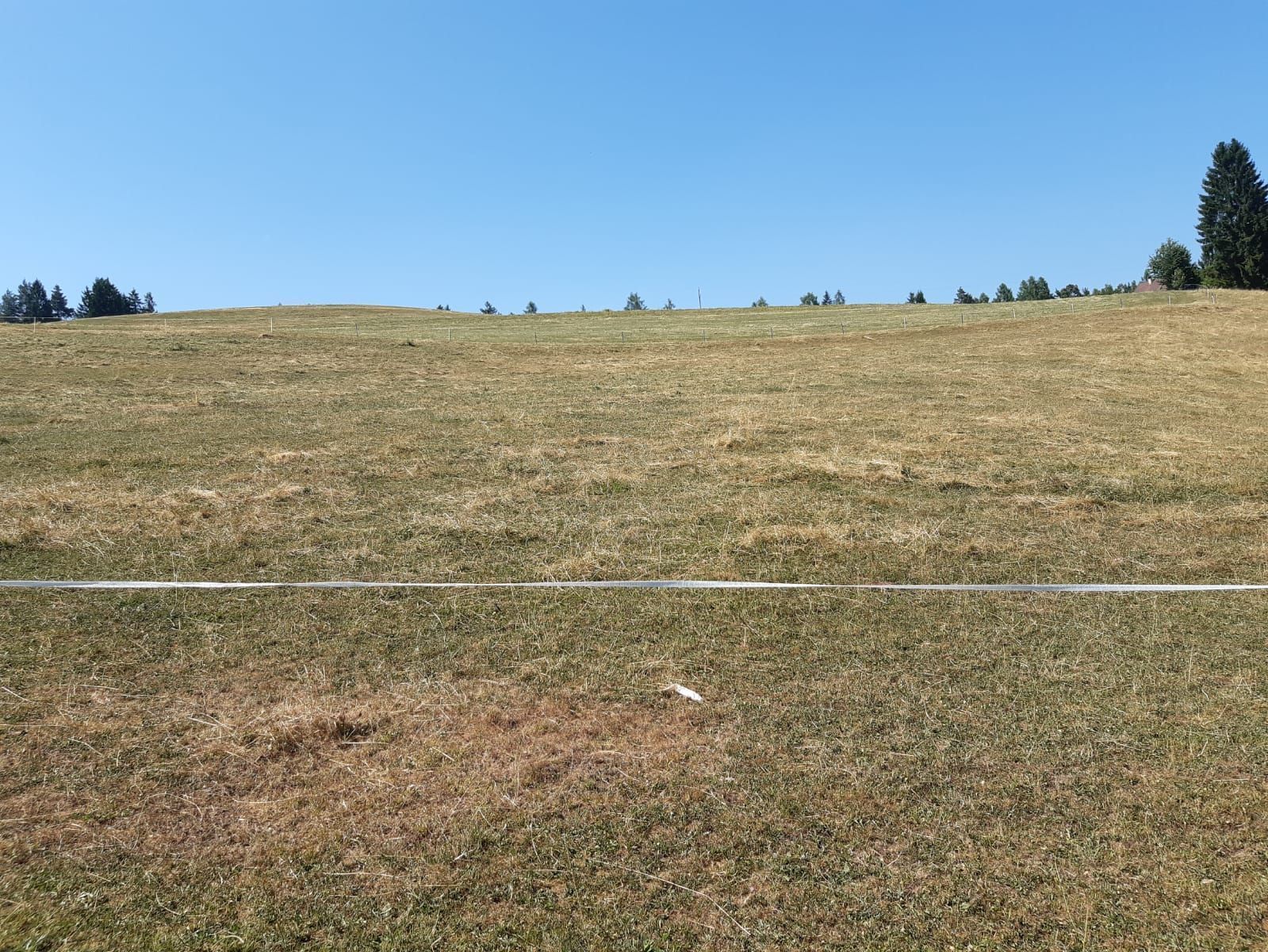 Steppe.jpg © LK Kärnten/Egger