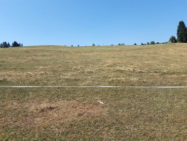 Steppe.jpg © LK Kärnten/Egger