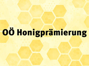 news-oö-honigprämierung.jpg © Kerstin Dietrich/OÖ Landesverband für Bienenzucht news-oö-honigprämierung.jpg © Kerstin Dietrich/OÖ Landesverband für Bienenzucht