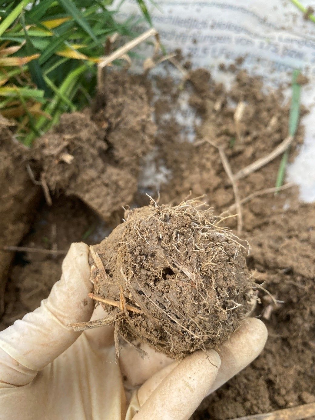 SoilRise  - Landwirte betreiben Regenwurmforschung_Winkovitsch - Foto 8.jpg © DI Claudia Winkovitsch