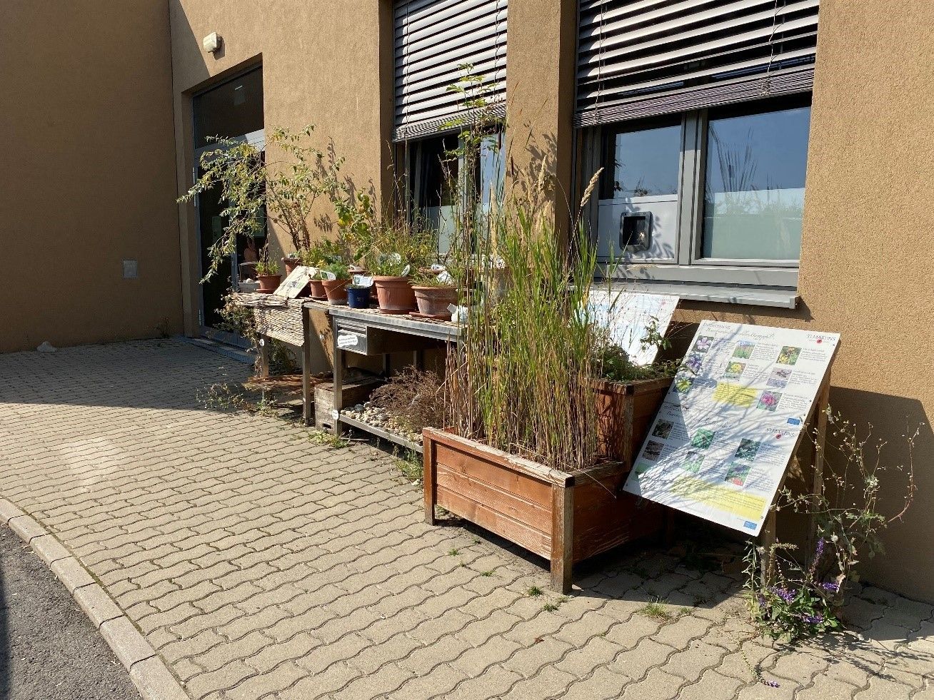 Gelebte Biodiversität - Rückblick auf die Exkursionen St. Martins Frauenkirchen - Winkovitsch_4.jpg © DI Claudia Winkovitsch Gelebte Biodiversität - Rückblick auf die Exkursionen St. Martins Frauenkirchen - Winkovitsch_4.jpg © DI Claudia Winkovitsch