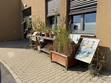 Gelebte Biodiversität - Rückblick auf die Exkursionen St. Martins Frauenkirchen - Winkovitsch_4.jpg © DI Claudia Winkovitsch Gelebte Biodiversität - Rückblick auf die Exkursionen St. Martins Frauenkirchen - Winkovitsch_4.jpg © DI Claudia Winkovitsch