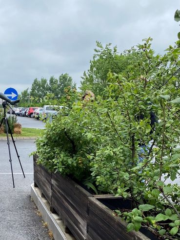 Gelebte Biodiversität - Rückblick auf die Exkursionen St. Martins Frauenkirchen - Winkovitsch_5.jpg © DI Claudia Winkovitsch Gelebte Biodiversität - Rückblick auf die Exkursionen St. Martins Frauenkirchen - Winkovitsch_5.jpg © DI Claudia Winkovitsch