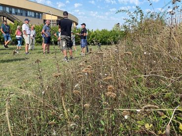 Gelebte Biodiversität - Rückblick auf die Exkursionen St. Martins Frauenkirchen - Winkovitsch_6.jpg © DI Claudia Winkovitsch Gelebte Biodiversität - Rückblick auf die Exkursionen St. Martins Frauenkirchen - Winkovitsch_6.jpg © DI Claudia Winkovitsch