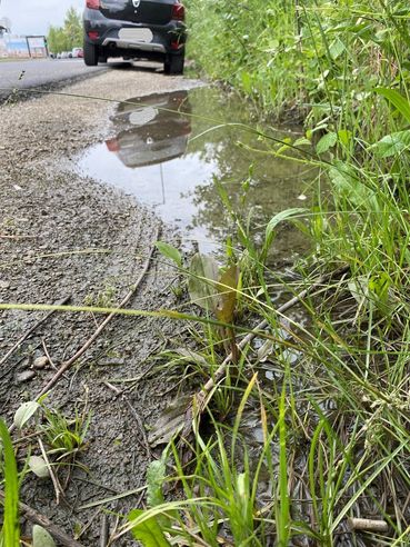 Gelebte Biodiversität - Rückblick auf die Exkursionen St. Martins Frauenkirchen - Winkovitsch_9.jpg © DI Claudia Winkovitsch Gelebte Biodiversität - Rückblick auf die Exkursionen St. Martins Frauenkirchen - Winkovitsch_9.jpg © DI Claudia Winkovitsch