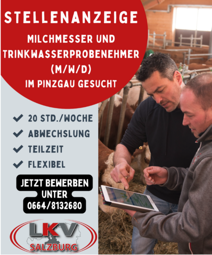 Stellenanzeige.png © Archiv
