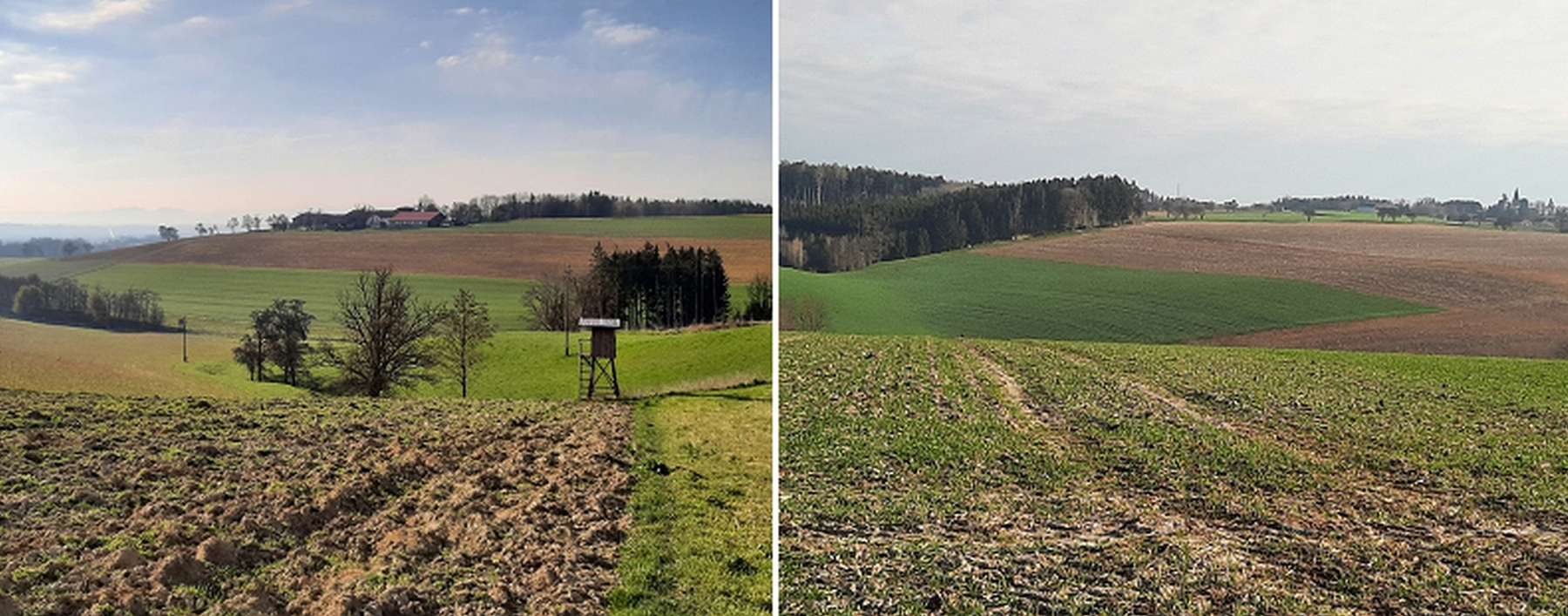 Schlagteilung durch abwechselnde Kulturen zum Schutz vor Erosion.jpg © BWSB/Schütz