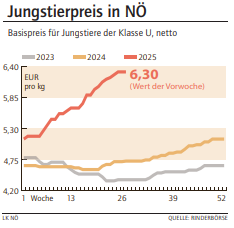 Grafik Stierpreis 28/2025.png © LK NÖ