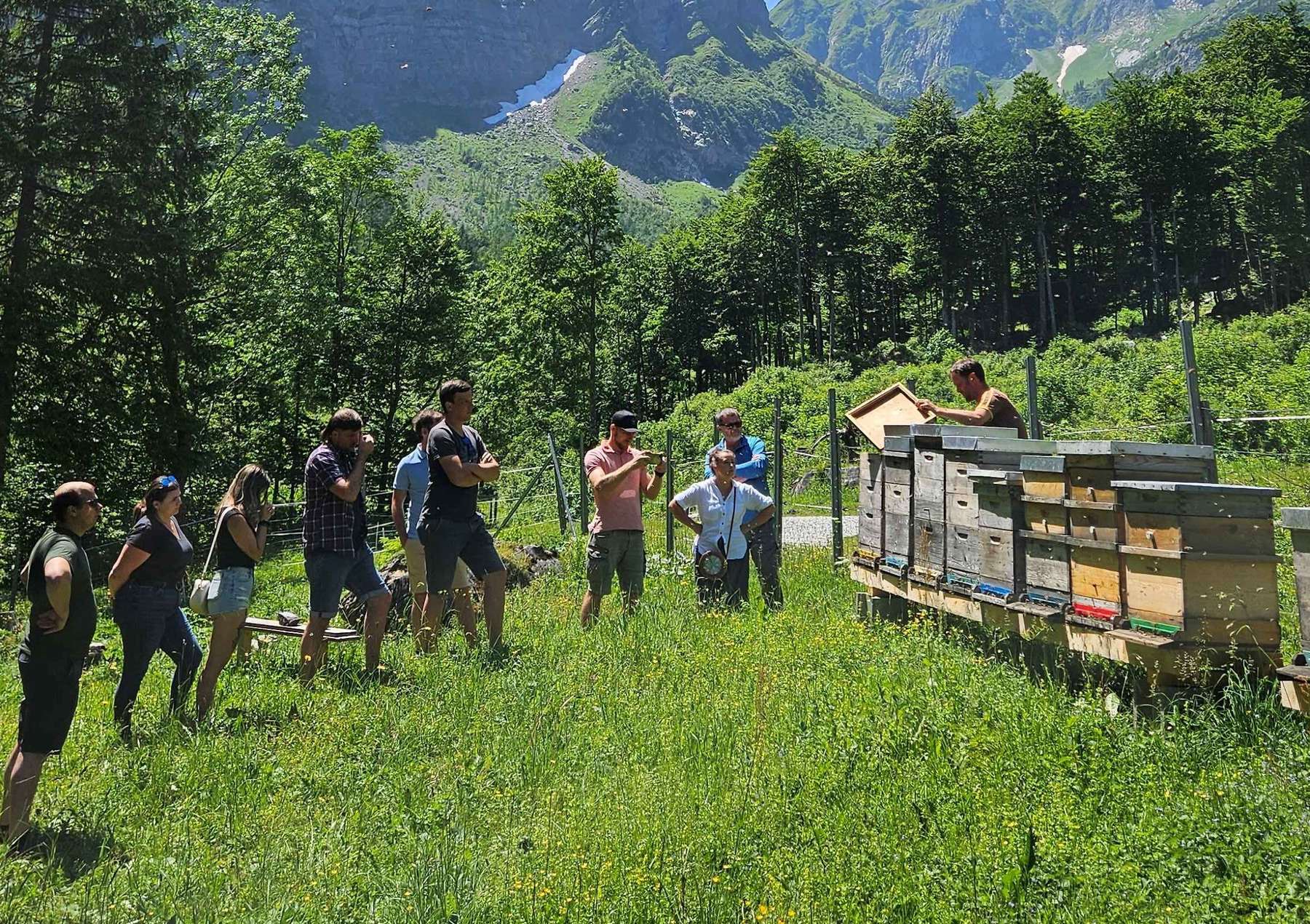 Imkerkurs.jpg © LK Kärnten/Thurner Imkerkurs.jpg © LK Kärnten/Thurner