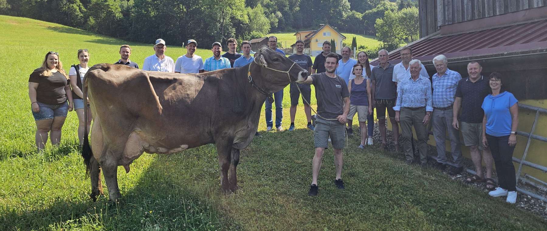 Brown Swiss (3).jpg © caRINDthia Brown Swiss (3).jpg © caRINDthia