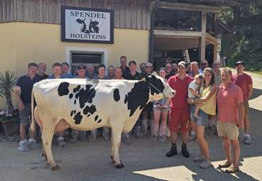 Holstein (2).jpg © caRINDthia Holstein (2).jpg © caRINDthia