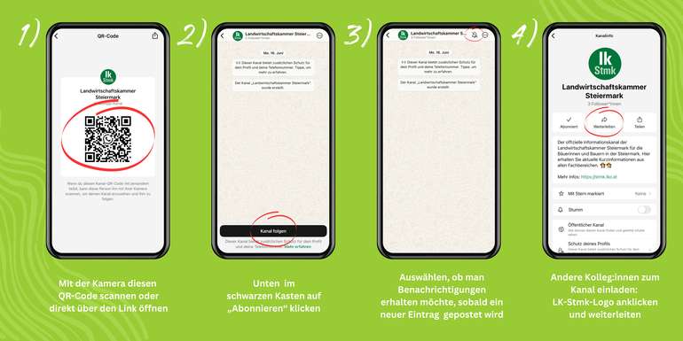 Anleitung Abonnieren WhatsApp Kanal © Ully
