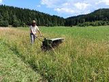 Gewinnung von Saatgut.jpg © LK Steiermark