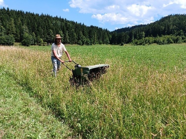 Gewinnung von Saatgut.jpg © LK Steiermark