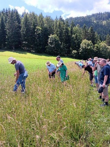 Teilnehmende beim EInfangen der Insekten und Spinnen.jpg © LK Steiermark