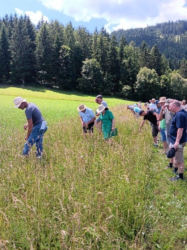 Teilnehmende beim EInfangen der Insekten und Spinnen.jpg © LK Steiermark