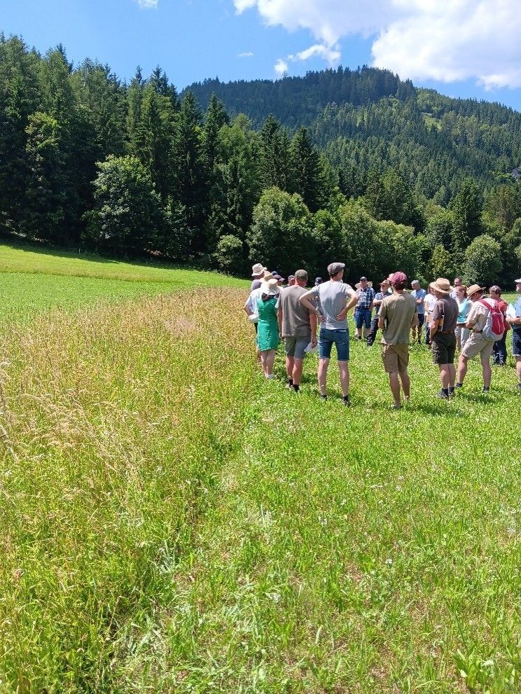 Versamungsstreifen Betrieb Neuper.jpg © LK Steiermark