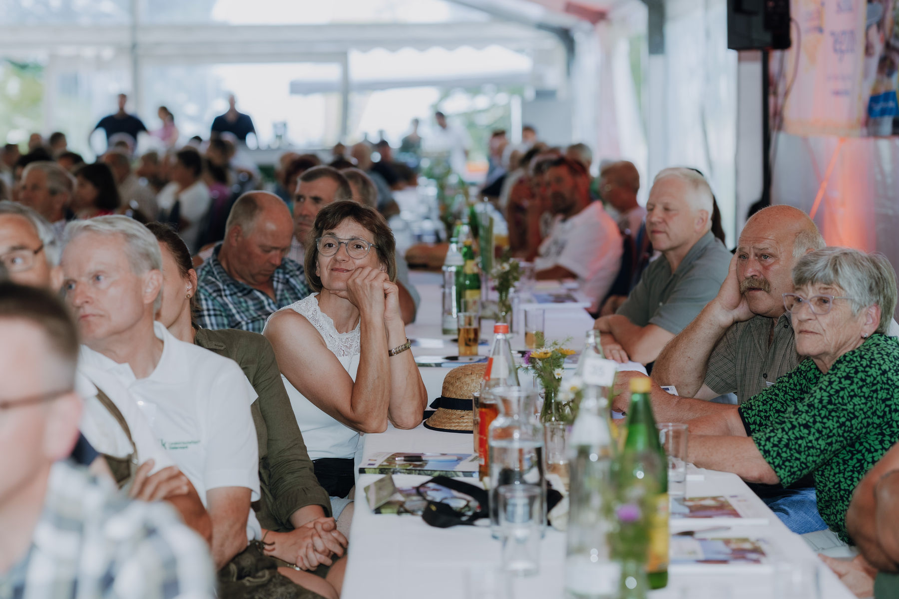 © Sophie Balber/LK Niederösterreich