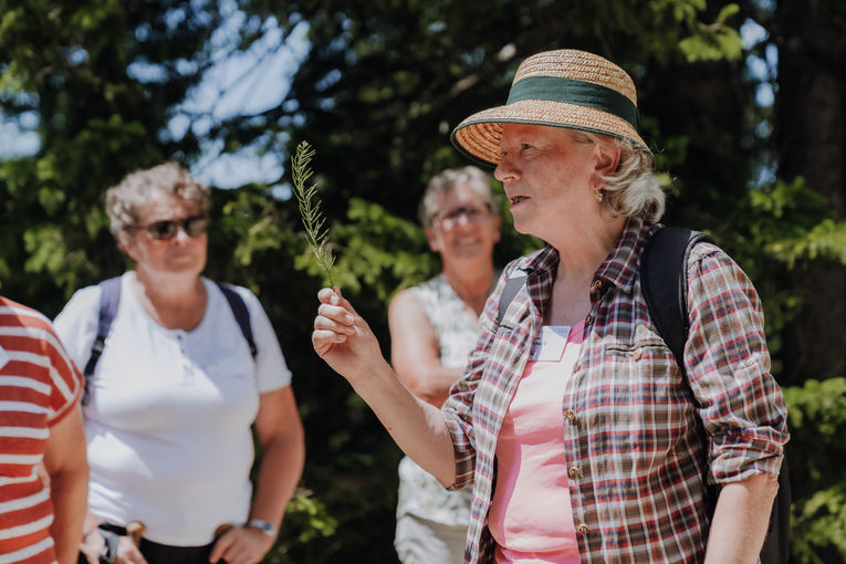 © Sophie Balber/LK Niederösterreich © Sophie Balber/LK Niederösterreich