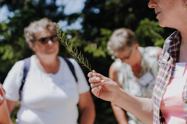 © Sophie Balber/LK Niederösterreich © Sophie Balber/LK Niederösterreich