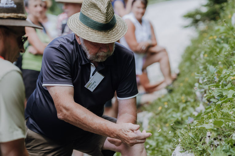 © Sophie Balber/LK Niederösterreich © Sophie Balber/LK Niederösterreich