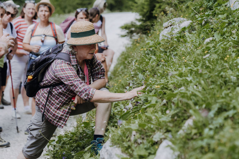 © Sophie Balber/LK Niederösterreich © Sophie Balber/LK Niederösterreich