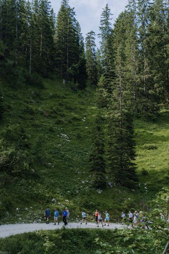 © Sophie Balber/LK Niederösterreich © Sophie Balber/LK Niederösterreich