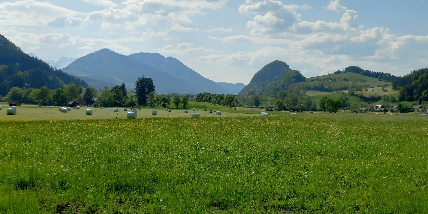 Landschaft_Roßleithen_JM.png © LK OÖ/Mandl