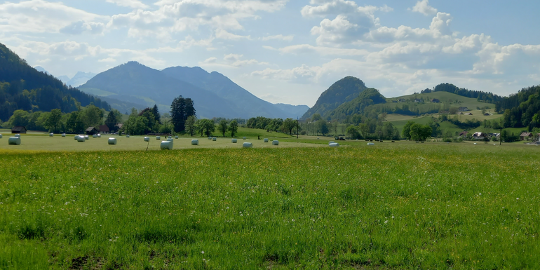 Landschaft_Roßleithen_JM.png © LK OÖ/Mandl