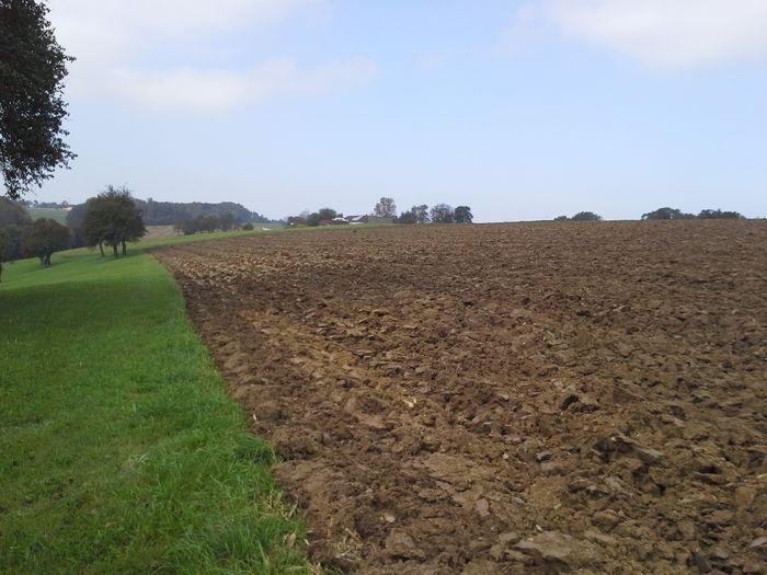 [1752474660563135_1.jpg]