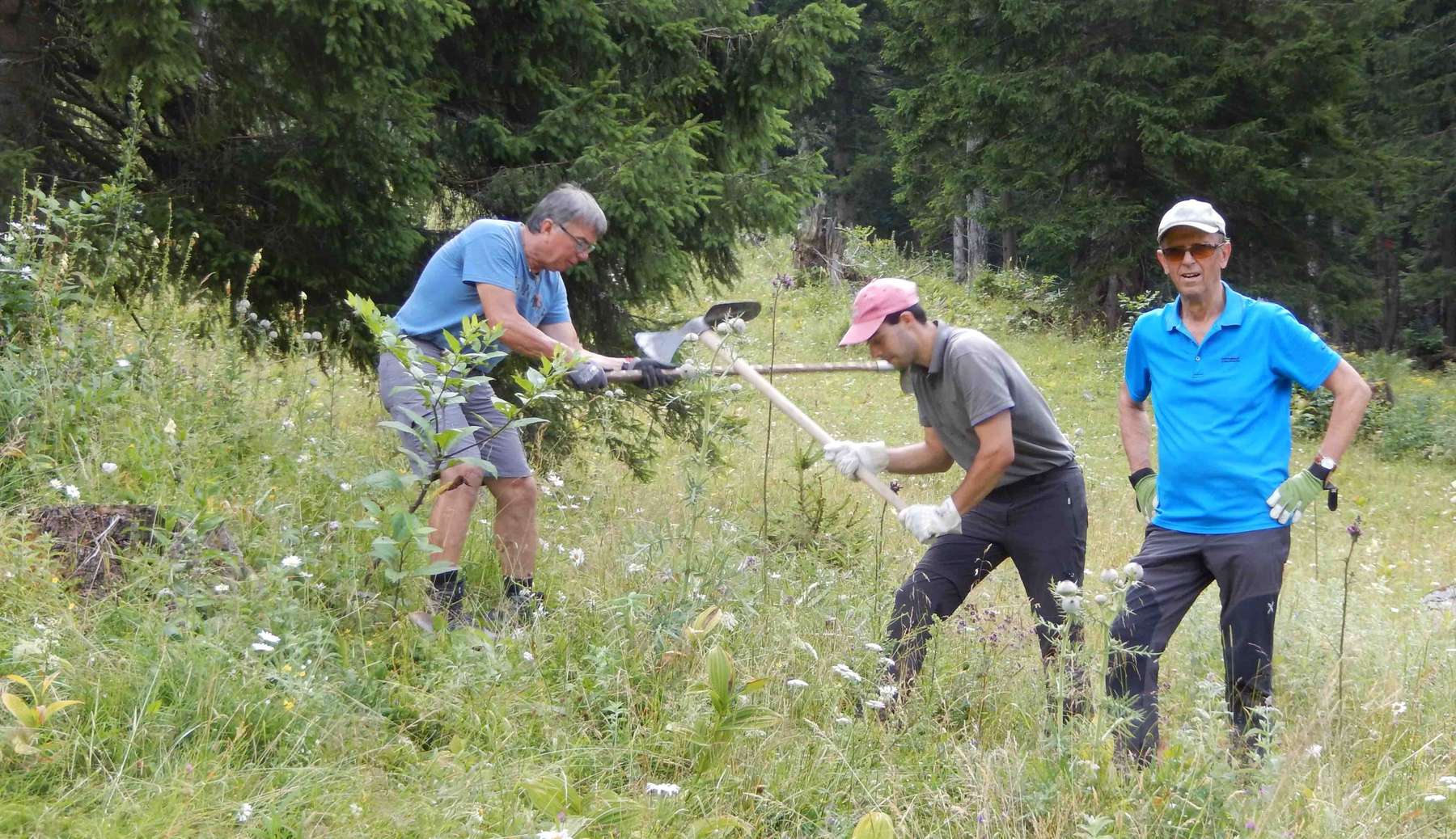 Putztag auf steirischen Almen 2025 2 .jpg © Isabella Nömayer