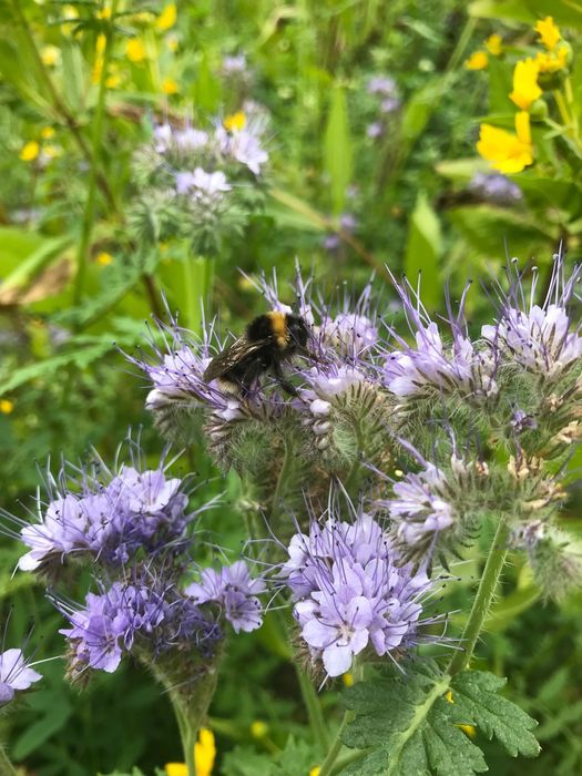 [1752474977579528_1.jpg]