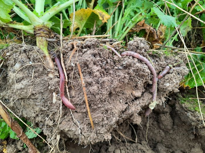 [1752475027525843_1.jpg]