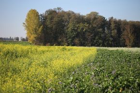 [175247516089751_5.jpg]