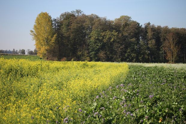 [175247516089751_7.jpg]