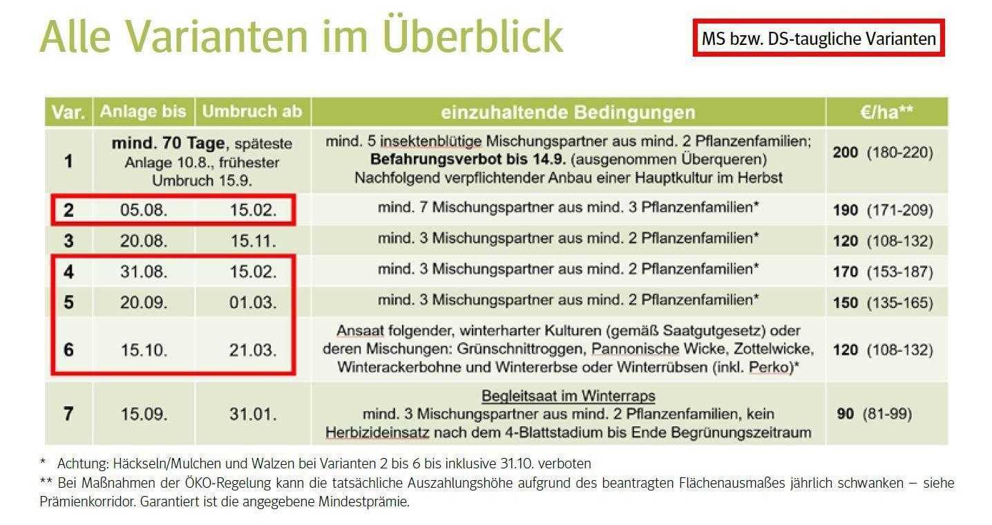 Begrünung.jpg © LK Niederösterreich