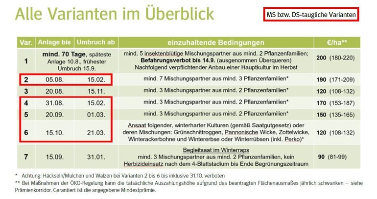 Begrünung.jpg © LK Niederösterreich