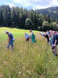 Bild4.jpg © Landwirtschaftskammer Steiermark / Stefan Bischof