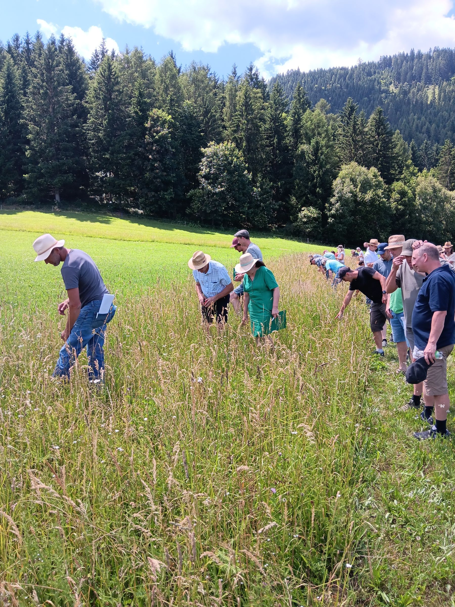 Bild4.jpg © Landwirtschaftskammer Steiermark / Stefan Bischof