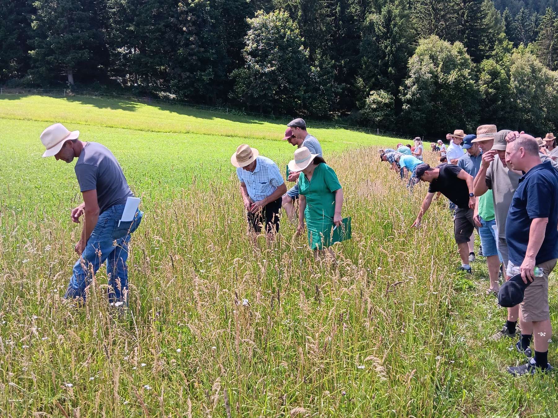 Bild4.jpg © Landwirtschaftskammer Steiermark / Stefan Bischof