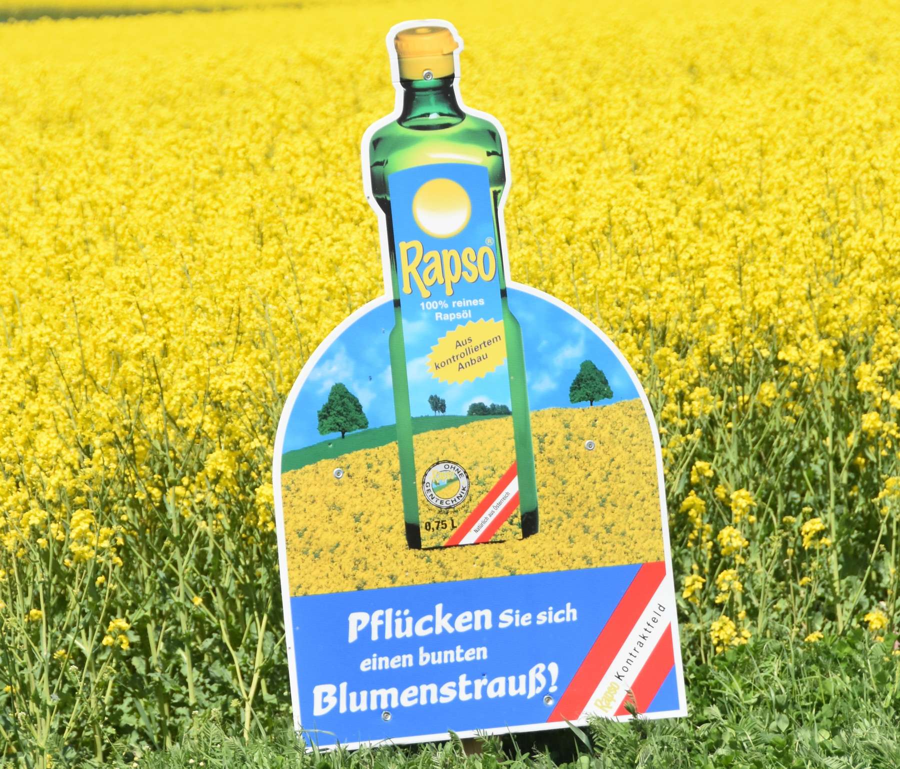 Rapso Raps_ Köppl.jpg © LK OÖ/Feitzlmayr