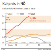Grafik Kuhpreis 29/2025.png © LK NÖ