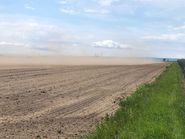 Wind-Erosion 28.5.2024 Frauenkirchen.jpg © Umathum