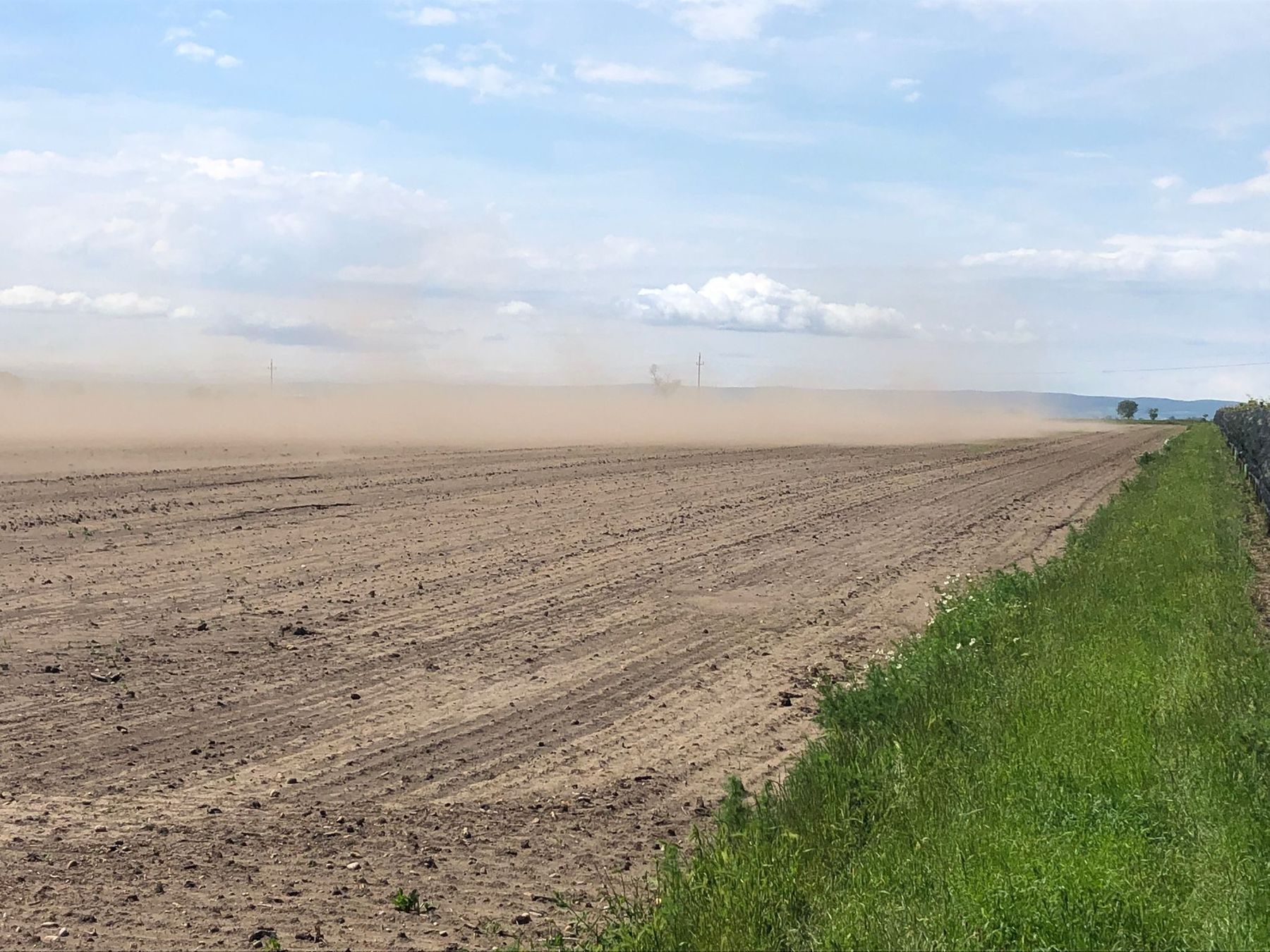 Wind-Erosion 28.5.2024 Frauenkirchen.jpg © Umathum