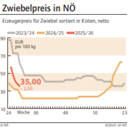 Grafik Zwiebelpreis 29/2025.png © LK NÖ