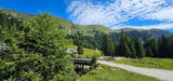 Lippalm.jpg © Mooslechner
