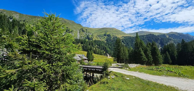 Lippalm.jpg © Mooslechner