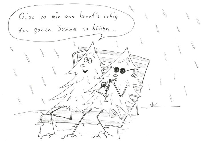 Sommerregen.jpg © Mitterwallner